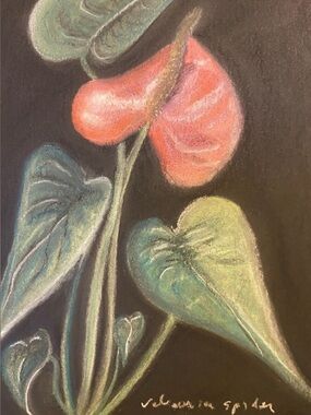 Antherium  Signed limited print 1/100